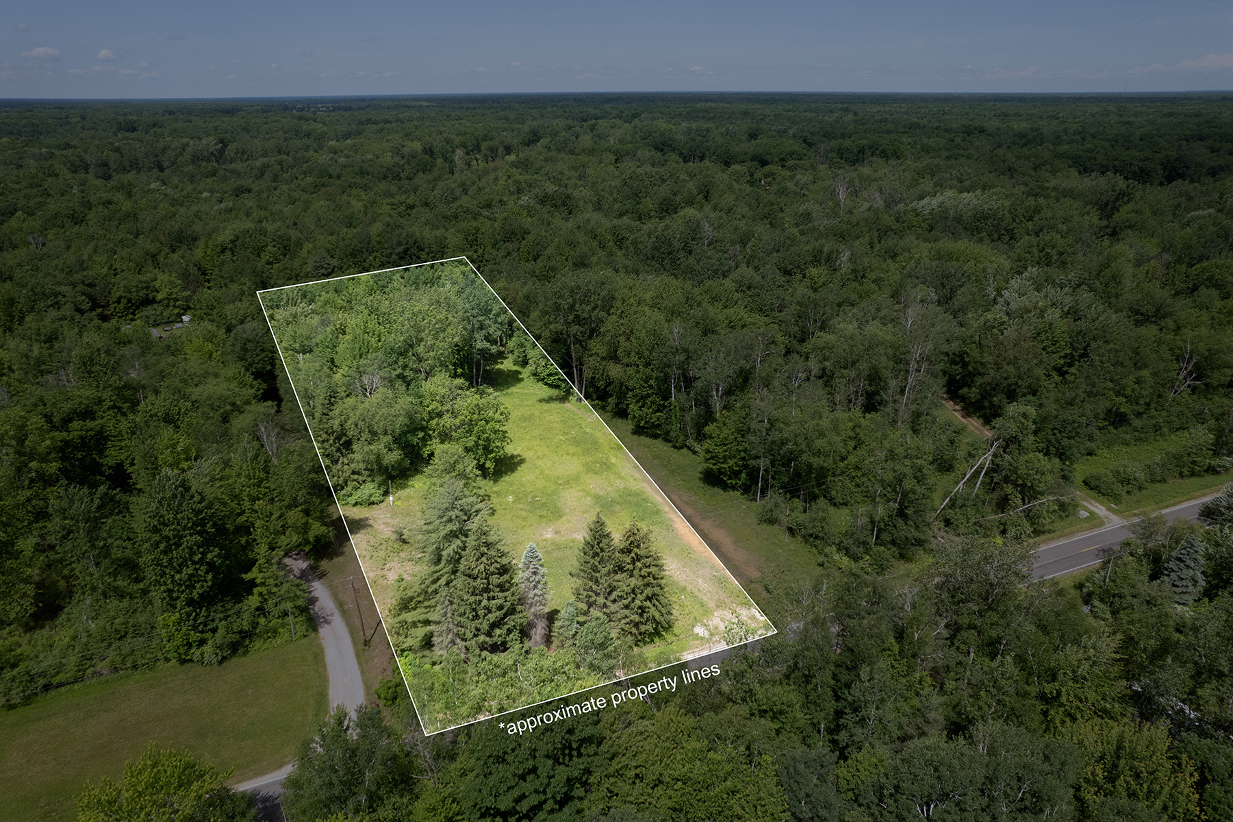 Drone View